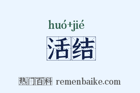 活结是什么意思的图片